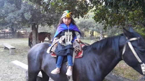 Imagen 3 de 4