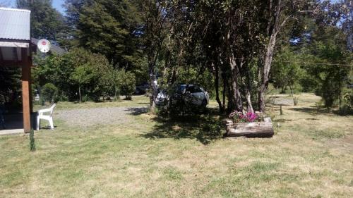 Imagen 2 de 20