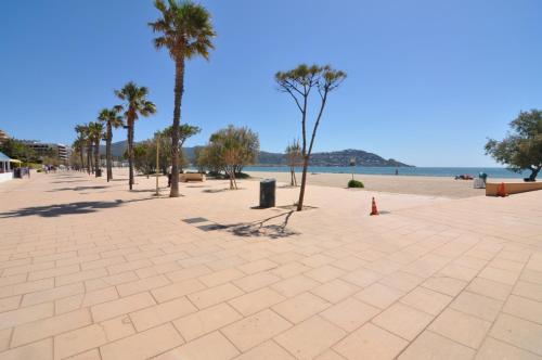 Imagen 3 de 18