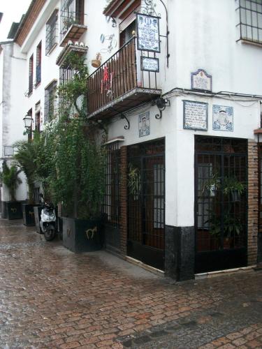 Imagen 5 de 13