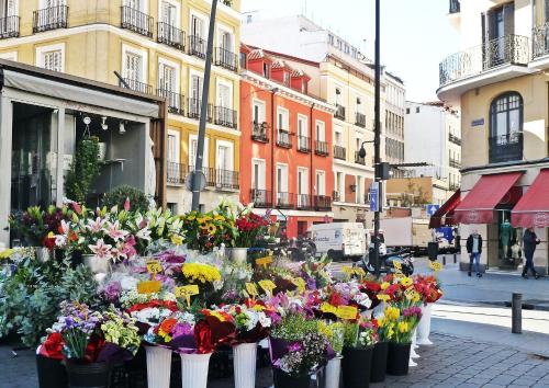 Imagen 3 de 158