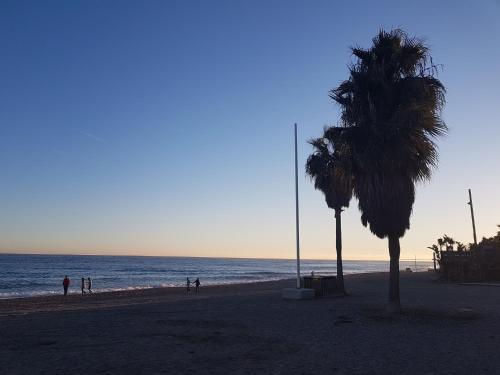 Imagen 2 de 2
