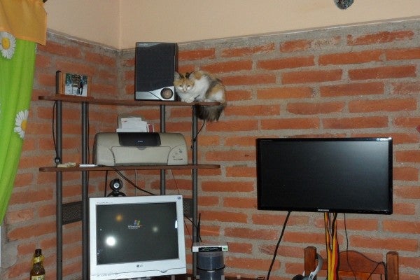 Imagen 4 de 5