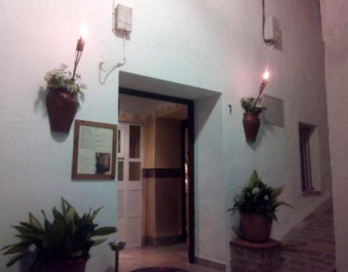 Imagen 1 de 13