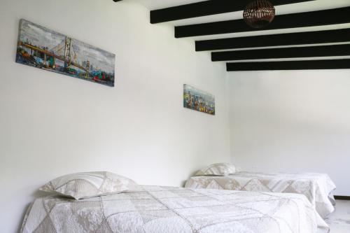 Imagen 5 de 26
