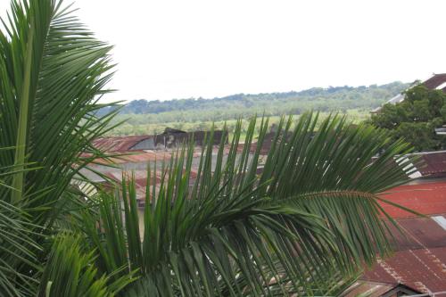 Imagen 2 de 2