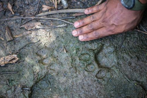 Imagen 3 de 16