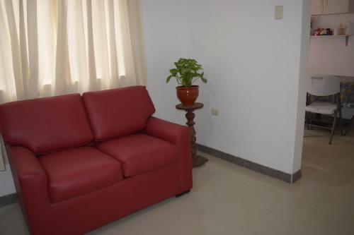 Imagen 3 de 19