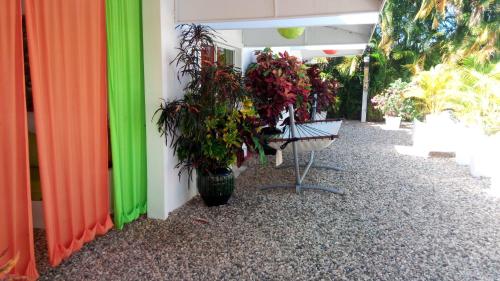 Imagen 3 de 18
