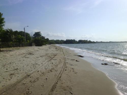 Imagen 3 de 6
