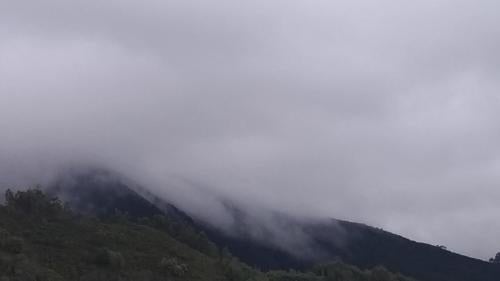 Imagen 3 de 12