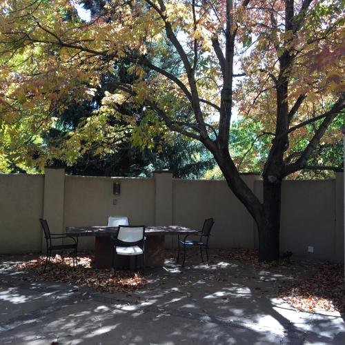 Imagen 1 de 35