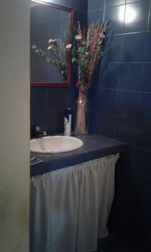 Imagen 5 de 5