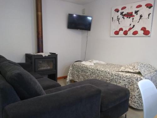 Imagen 4 de 5