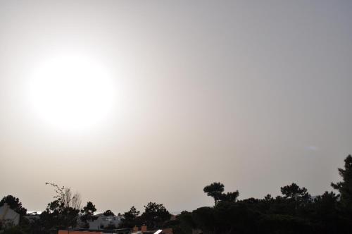 Imagen 3 de 22