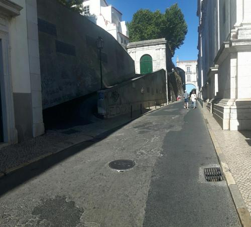 Imagen 1 de 20