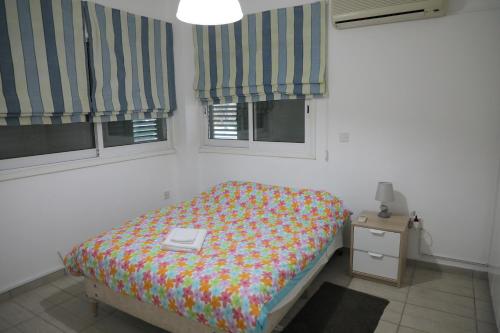 Imagen 4 de 22