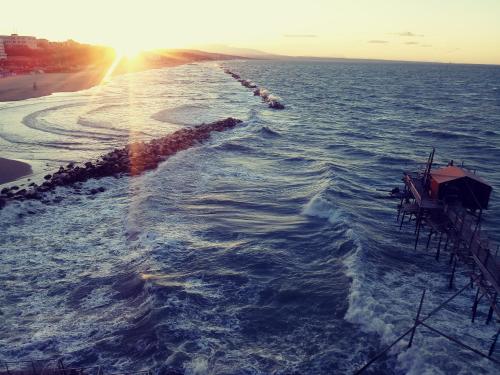 Imagen 3 de 20