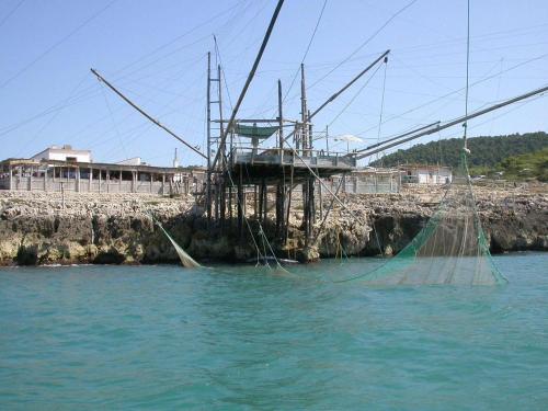 Imagen 3 de 24