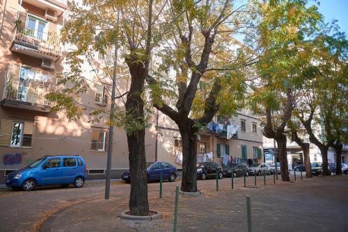 Imagen 5 de 26