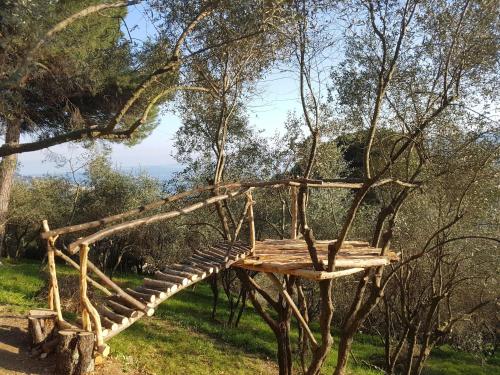 Imagen 5 de 38