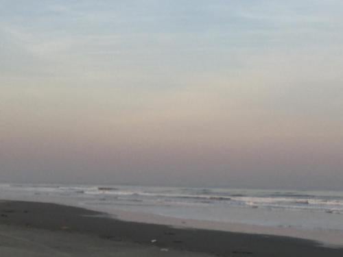 Imagen 3 de 28