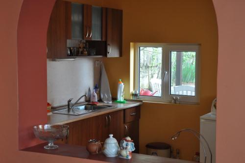 Imagen 4 de 21