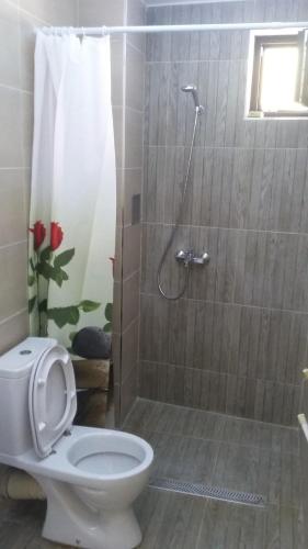 Imagen 2 de 20