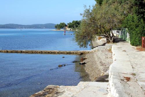 Imagen 4 de 6