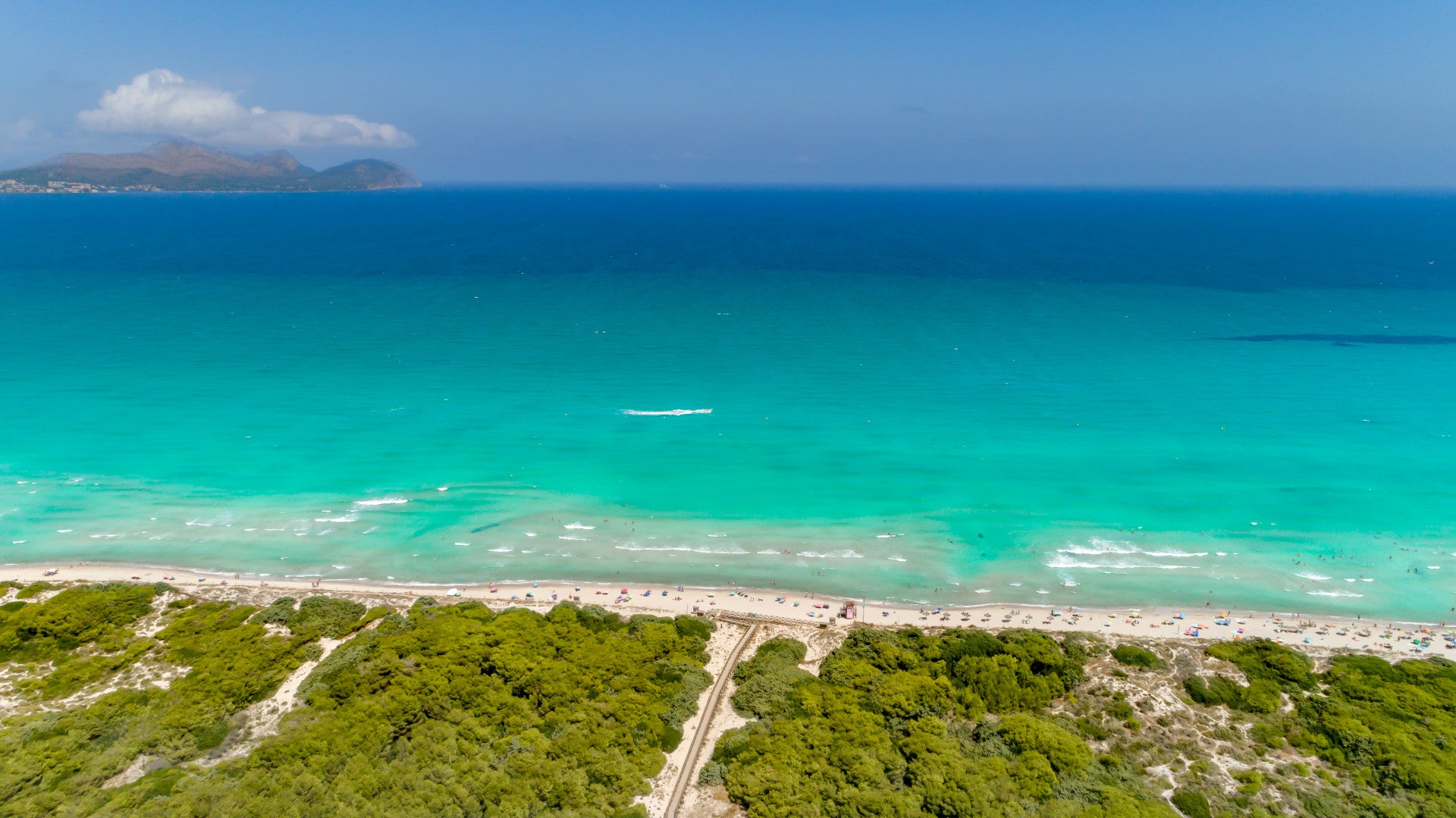 Imagen 3 de 41