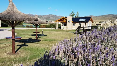 Imagen 4 de 18