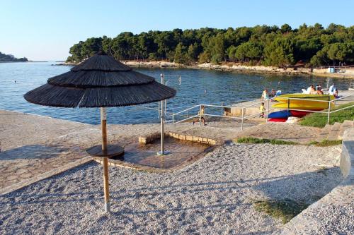Imagen 5 de 19