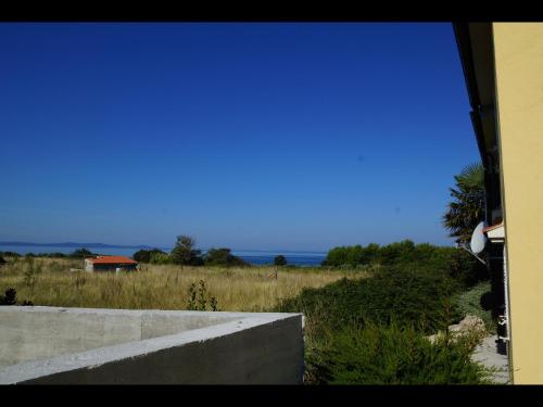 Imagen 5 de 16