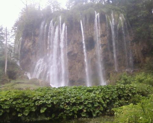 Imagen 1 de 19