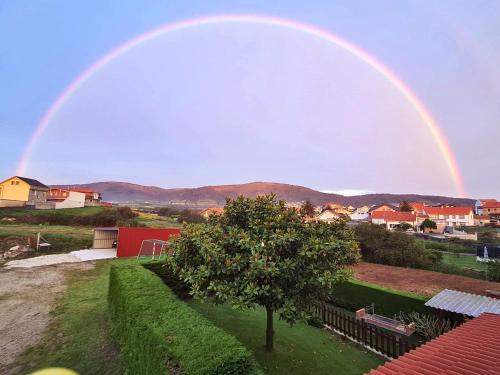 Imagen 5 de 14