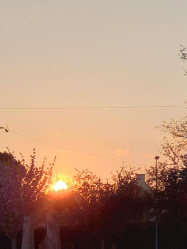 Imagen 3 de 26