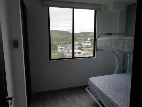 Imagen 3 de 17