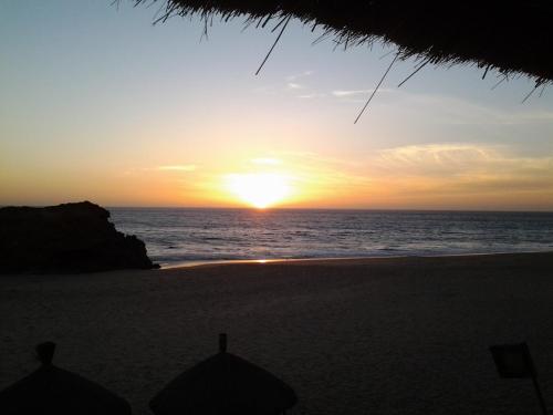 Imagen 4 de 19