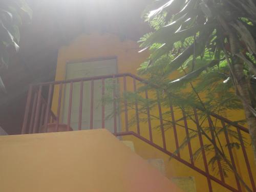 Imagen 1 de 25