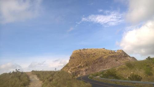 Imagen 3 de 25
