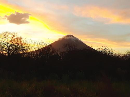 Imagen 5 de 30