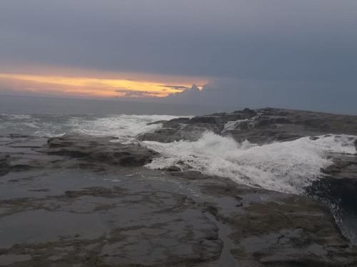 Imagen 2 de 3