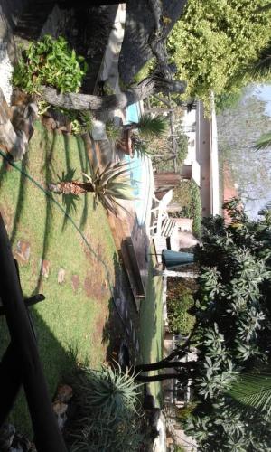 Imagen 5 de 11