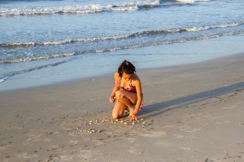 Imagen 1 de 13