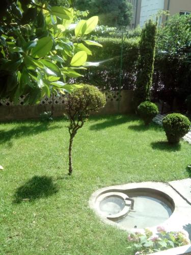 Imagen 5 de 6
