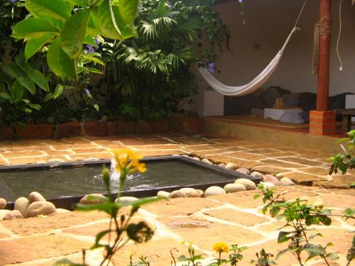 Imagen 4 de 42