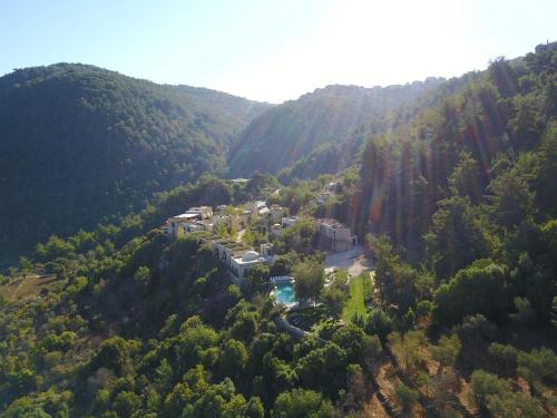 Imagen 3 de 81
