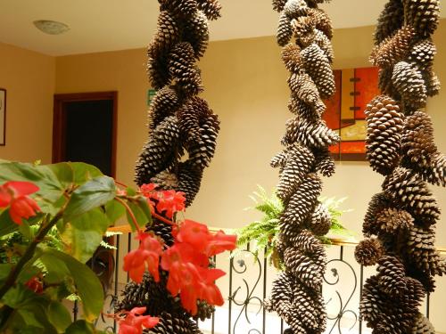 Imagen 2 de 7