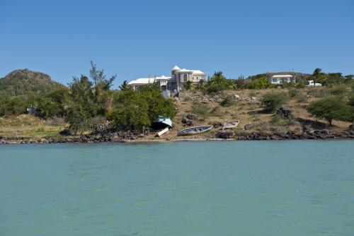 Imagen 5 de 42