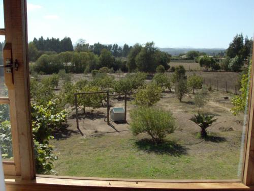 Imagen 4 de 40